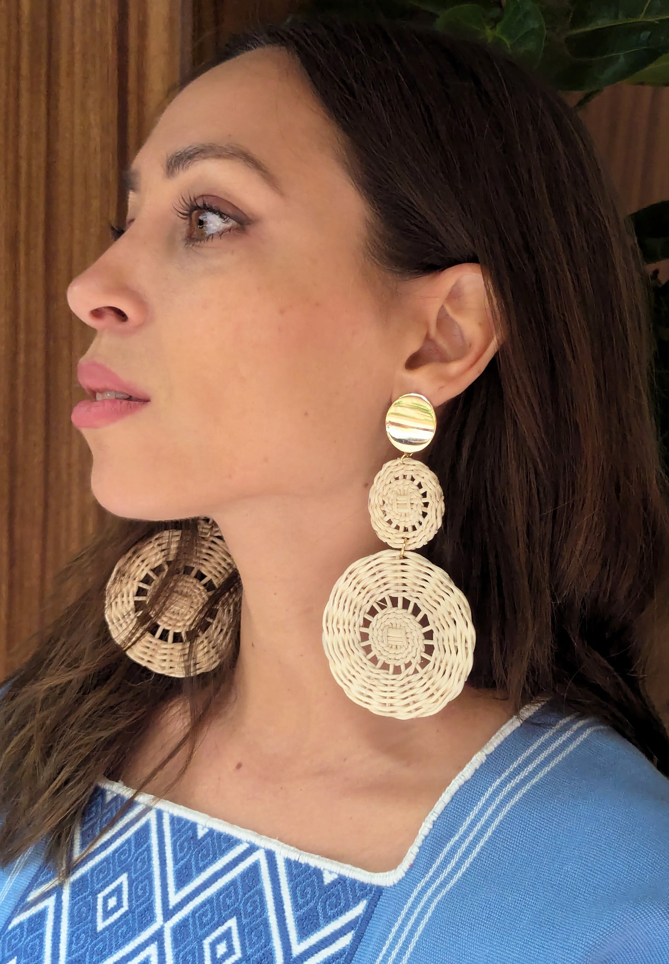 Aretes Silvia