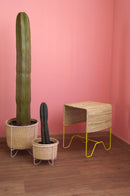 Chabelita Stool