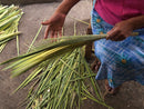 Taller de tejido de palma